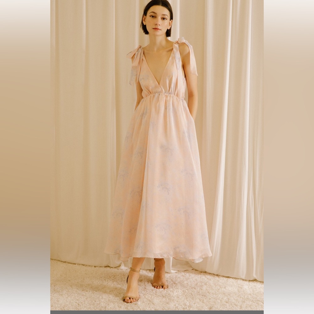Storia Blush Floral Maxi Dress